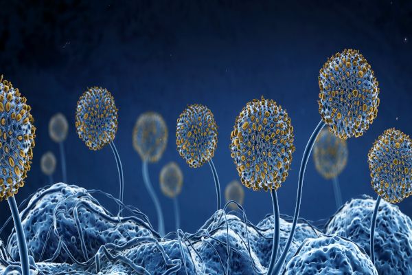 Pakankamas vėdinimas